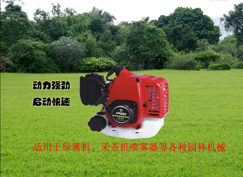 安奇迪1E32F二沖汽油發(fā)動機 農林園藝動力的全能之選